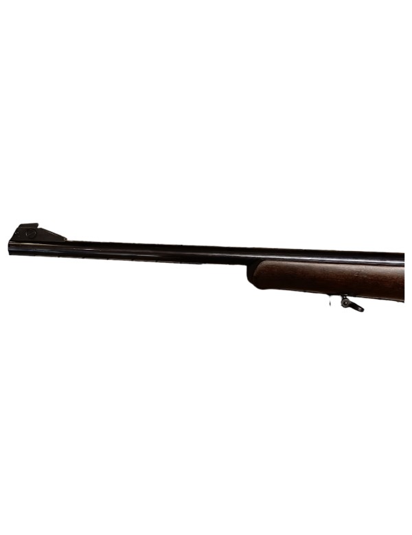 CARABINE REP MANUELLE HK 300 CALIBRE 22 WIN MAG R F