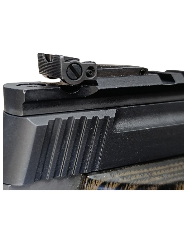 PISTOLET BROWNING ARMS BUCK MARK BLACK LABEL CAL 22 lr OCCASION