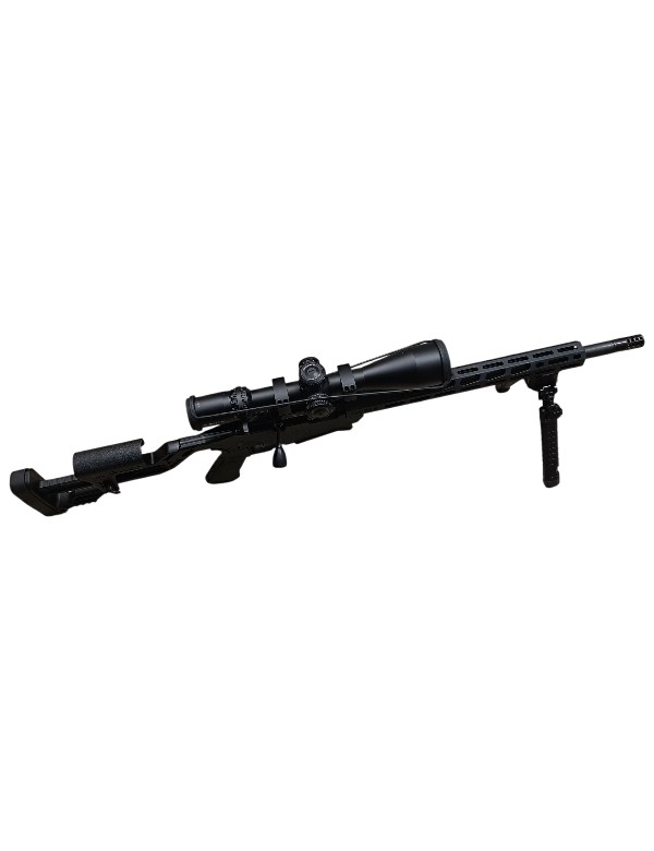 OCCASION CARABINE RUGER PRECISION RIMFIRE 22 LONG RIFLE
