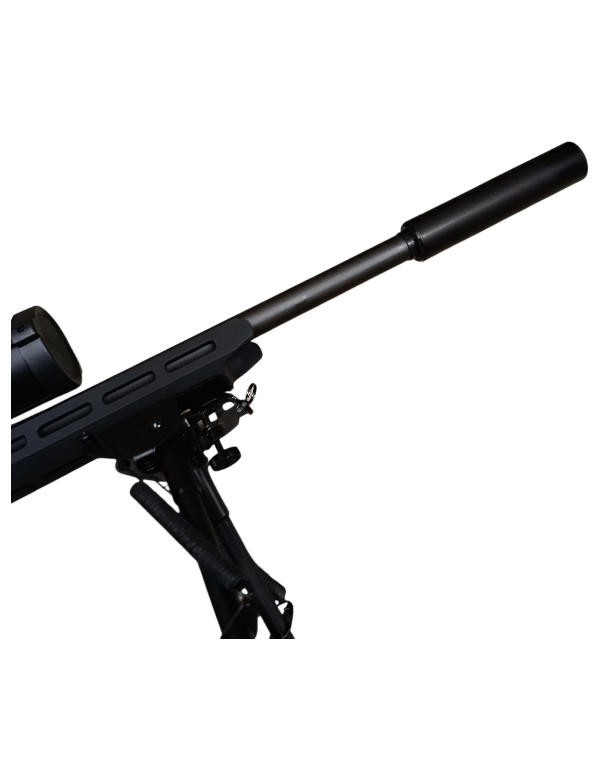 PACK CARABINE SAVAGE MOD : B22 PRECISION CAL: 22 LR EQUIPEE MDT