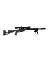 PACK CARABINE RUGER PRECISION RIMFIRE (RPR) BLACK CAL: 22 LONG RIFLE