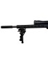 PACK CARABINE RUGER PRECISION RIMFIRE (RPR) BLACK CAL: 22 LONG RIFLE