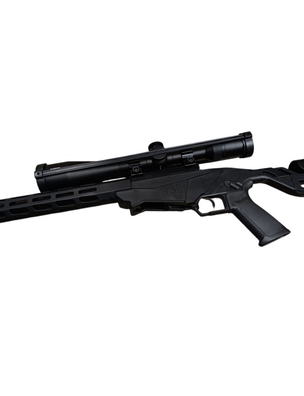 PACK CARABINE RUGER PRECISION RIMFIRE (RPR) BLACK CAL: 22 LONG RIFLE