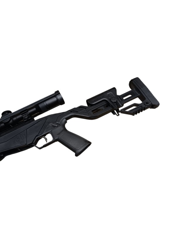 PACK CARABINE RUGER PRECISION RIMFIRE (RPR) BLACK CAL: 22 LONG RIFLE