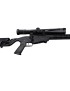 PACK CARABINE RUGER PRECISION RIMFIRE (RPR) BLACK CAL: 22 LONG RIFLE
