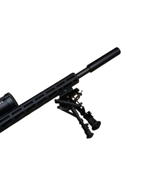 PACK CARABINE RUGER PRECISION RIMFIRE (RPR) BLACK CAL: 22 LONG RIFLE