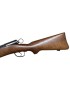 OCCASION CARABINE SCHMIDT RUBIN 1889 (GEWEHR 89) 22 LONG RIFLE