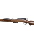 OCCASION CARABINE SCHMIDT RUBIN 1889 (GEWEHR 89) 22 LONG RIFLE