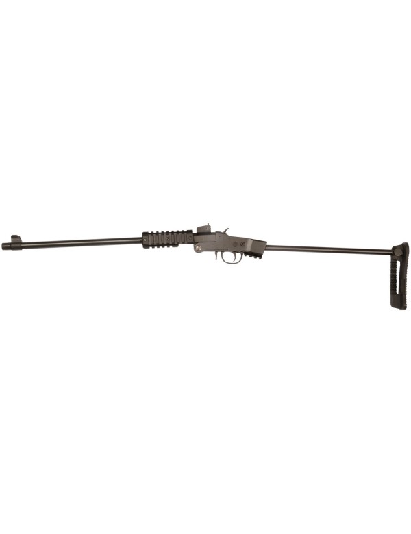 CARABINE ARMI CHIAPPA LITLLE BADGER TAKEDOWN CAL 22LR
