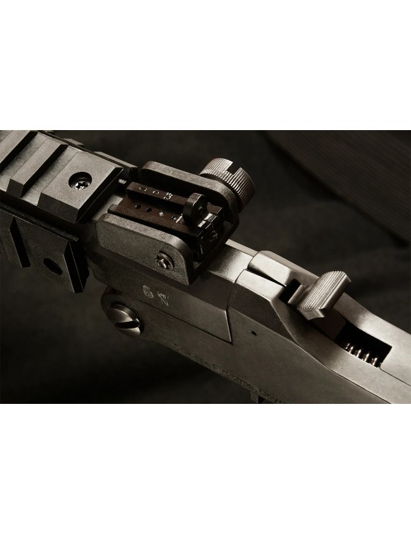 CARABINE ARMI CHIAPPA LITLLE BADGER TAKEDOWN CAL 22LR