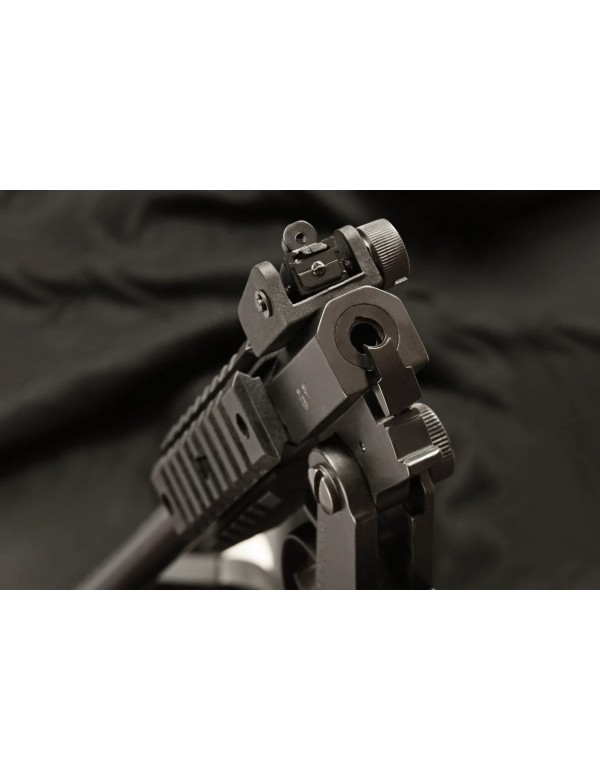 CARABINE ARMI CHIAPPA LITLLE BADGER TAKEDOWN CAL 22LR