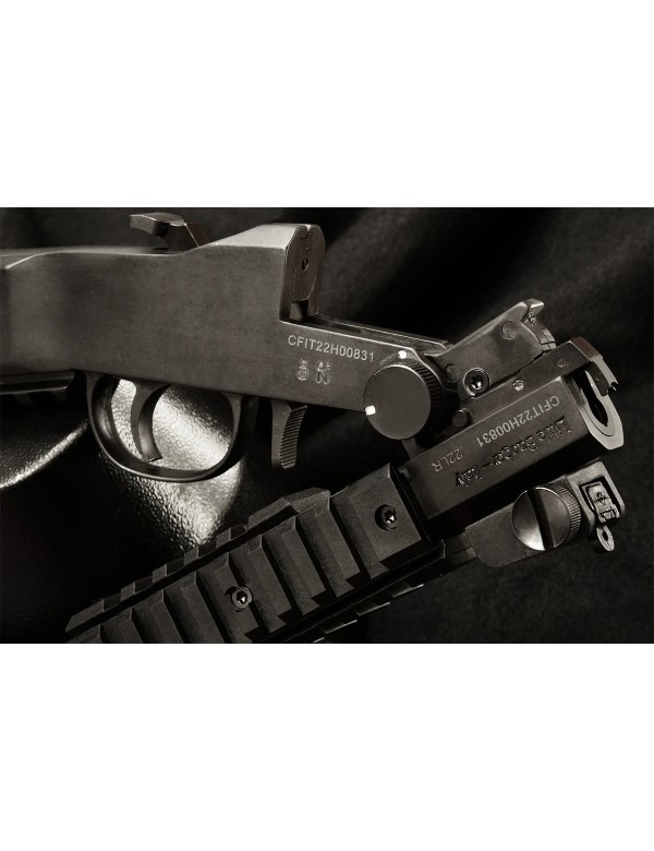 CARABINE ARMI CHIAPPA LITLLE BADGER TAKEDOWN CAL 22LR