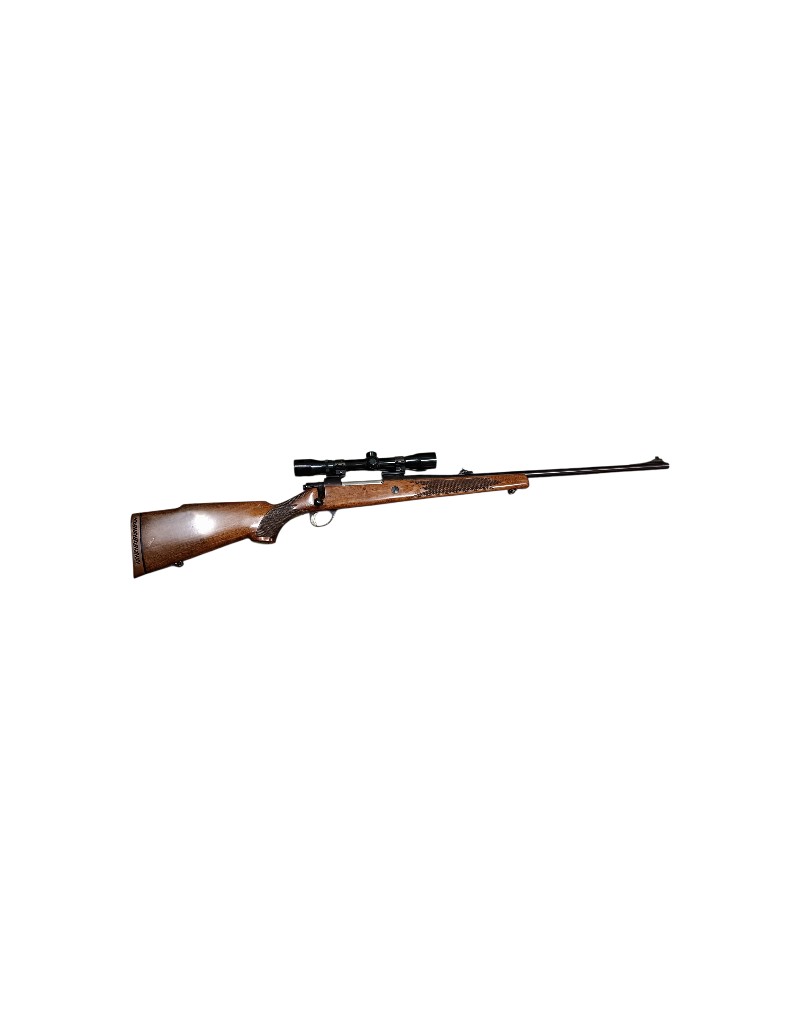 CARABINE SAKO L 61 R 'FINNBEAR' 270 WIN OCCASION