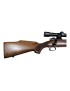CARABINE WINCHESTER MOD 70 XTR 25-06 REM OCCASION