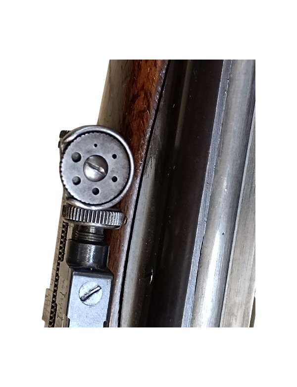 OCCASION CARABINE LEE ENFIELD MONOCOUP 22 LONG RIFLE