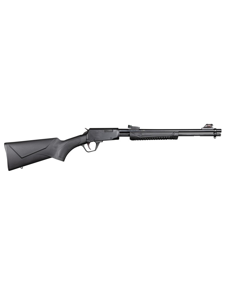 Carabine Rossi Gallery synthétique 22LR