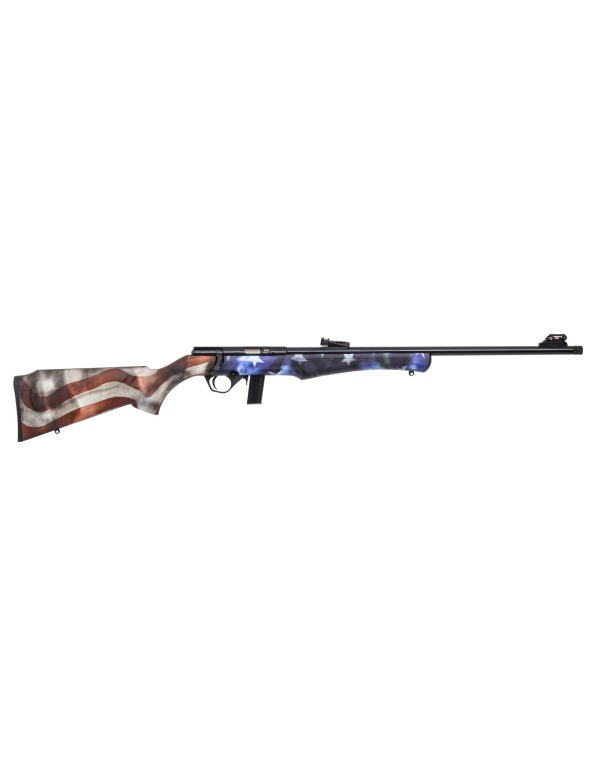 Carabine Rossi 8122 22LR Usa