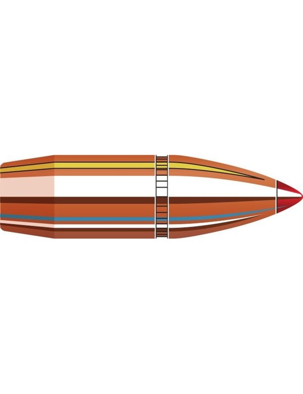 Boîte de 100 ogives Hornady 30 CAL.308 160 GR FTX (30-30) 30395