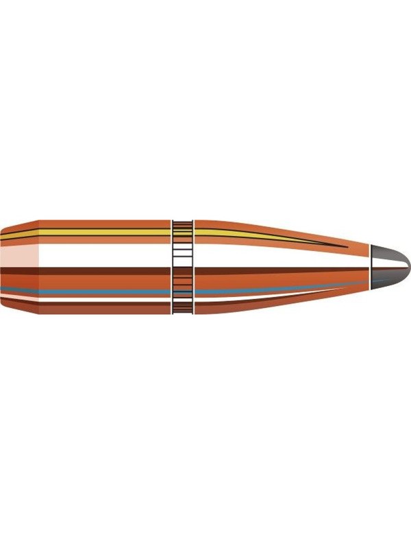 Boîte de 100 ogives Hornady 6MM .243 100GR BTSP 2453