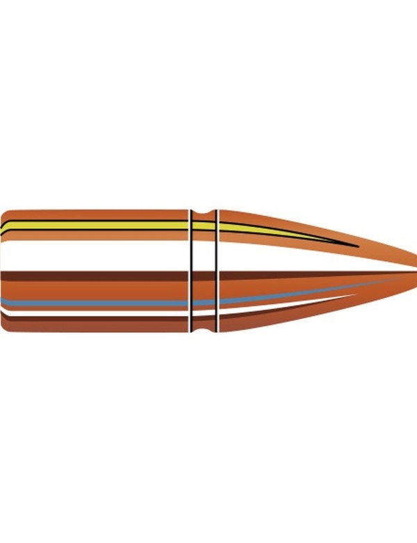 Boîte de 50 ogives Hornady 22 CAL.224 50GR CX 22402