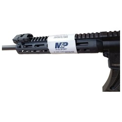 CARABINE SMITH & WESSON MP15-22 SPORT 16.5"