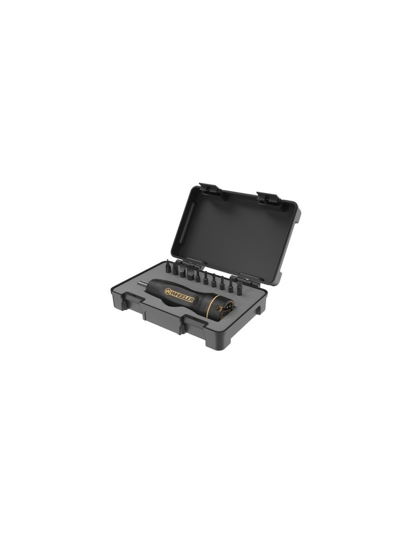 WHEELER ENGINEERING TOURNEVIS DYNAMOMETRIQUE DIGITAL AVEC 10 EMBOUTS