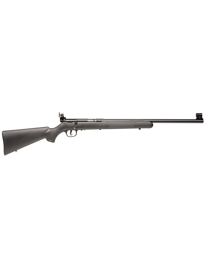CARABINE SAVAGE ARMS MARK II FVT 21" CALIBRE 22 LONG RIFLE