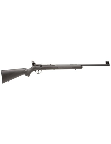 CARABINE SAVAGE ARMS MARK II FVT 21" CALIBRE 22 LONG RIFLE