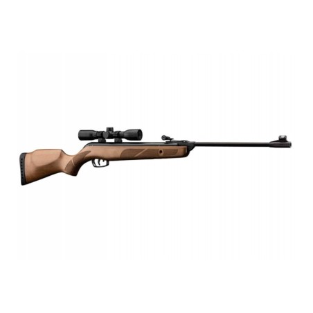 GAMO FOREST COMBO 4.5MM 14J COMBO AVEC LUNETTE ET MONTAGE