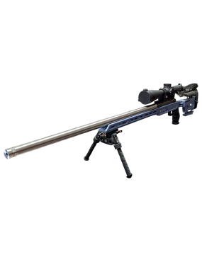 OCCASION  CARABINE VICTRIX...