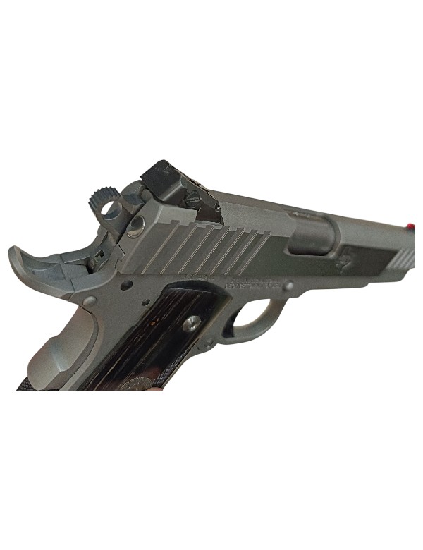 PISTOLET TROJAN 45 AUTO (45 ACP) OCCASION