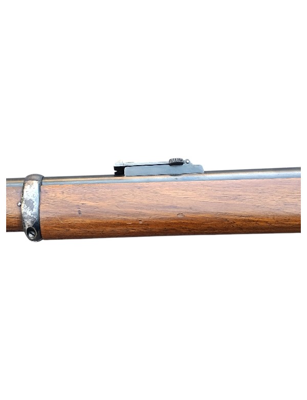 FUSIL MARTINI HENRY CALIBRE 450