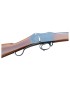 FUSIL MARTINI HENRY CALIBRE 450