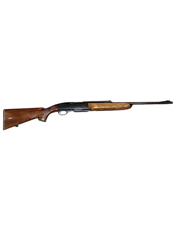 CARABINE SEMI AUTO...