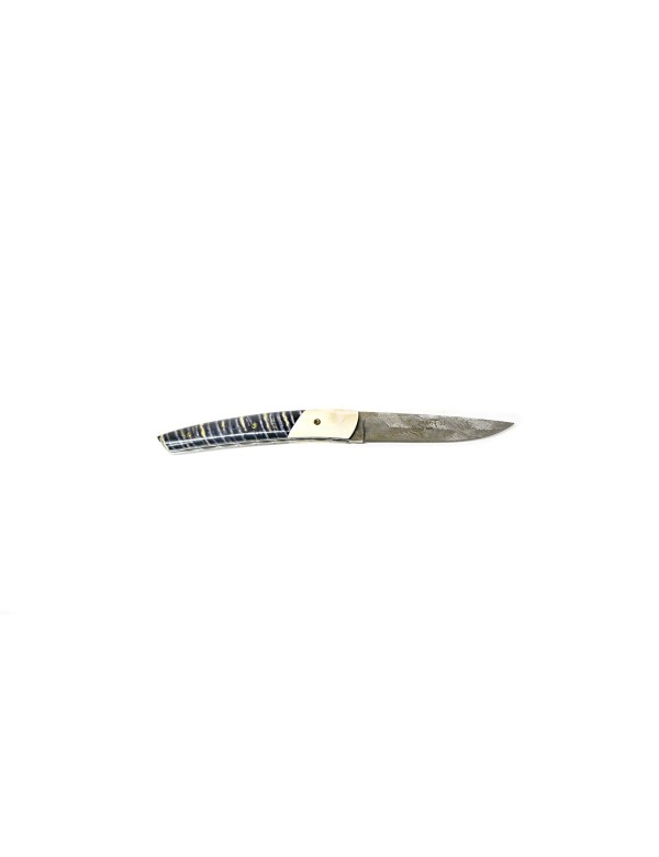 Couteau Locau Phaco Molaire mammouth lame