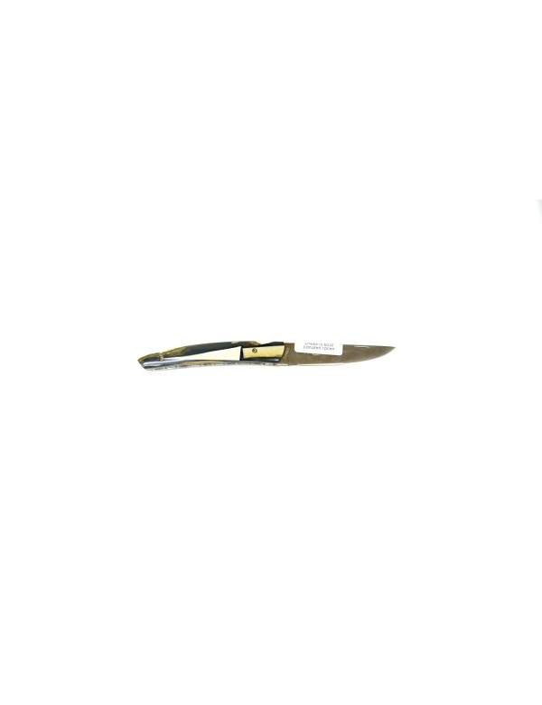 Couteau Locau Thiers le pote Manche chute