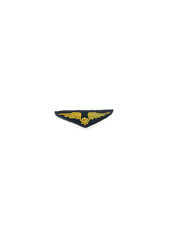 Insigne en tissu avec des ailes